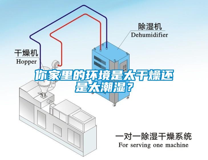 你家里的環境是太干燥還是太潮濕？