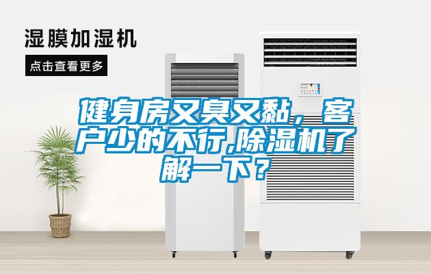 健身房又臭又黏,客戶少的不行,除濕機(jī)了解一下?