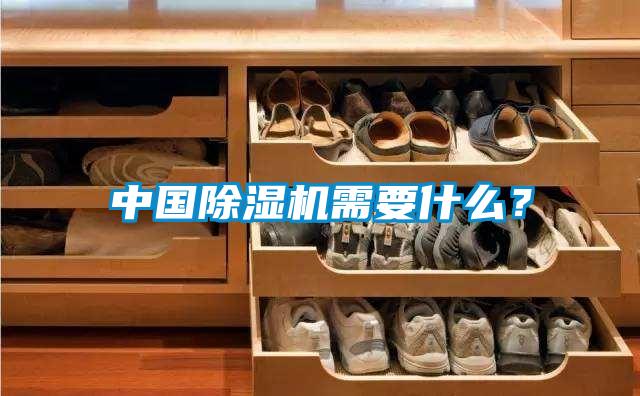 中國除濕機需要什么？