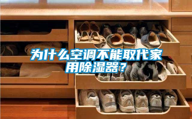 為什么空調(diào)不能取代家用除濕器?