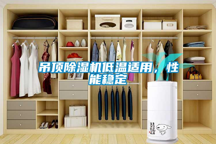 吊頂除濕機低溫適用，性能穩(wěn)定