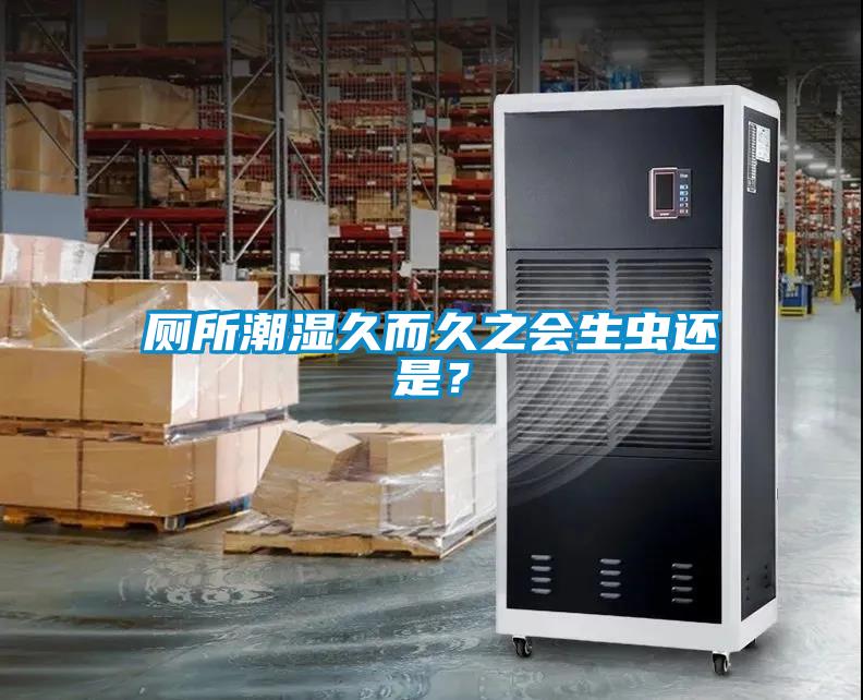 廁所潮濕久而久之會生蟲還是？