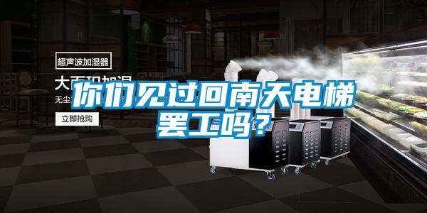你們見過回南天電梯罷工嗎？