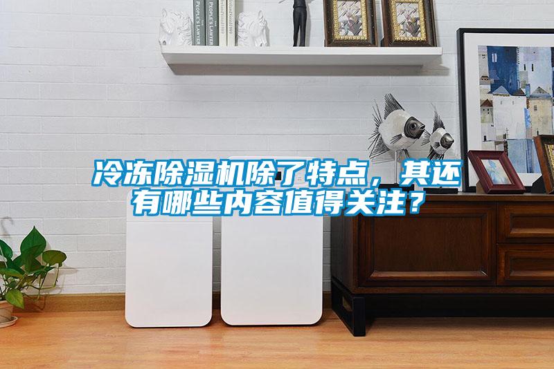 冷凍除濕機除了特點，其還有哪些內(nèi)容值得關注？