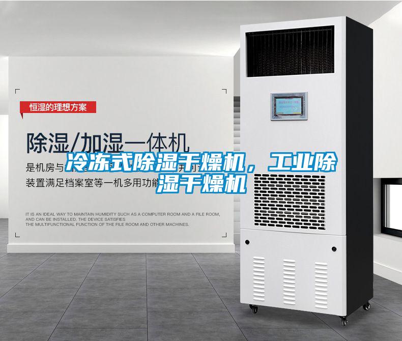 冷凍式除濕干燥機，工業(yè)除濕干燥機