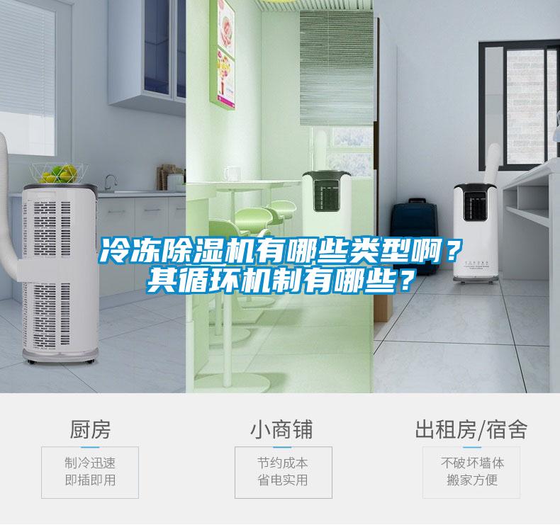 冷凍除濕機(jī)有哪些類(lèi)型啊？其循環(huán)機(jī)制有哪些？