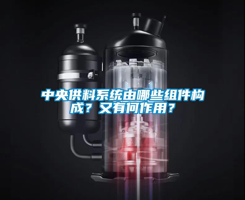 中央供料系統由哪些組件構成？又有何作用？