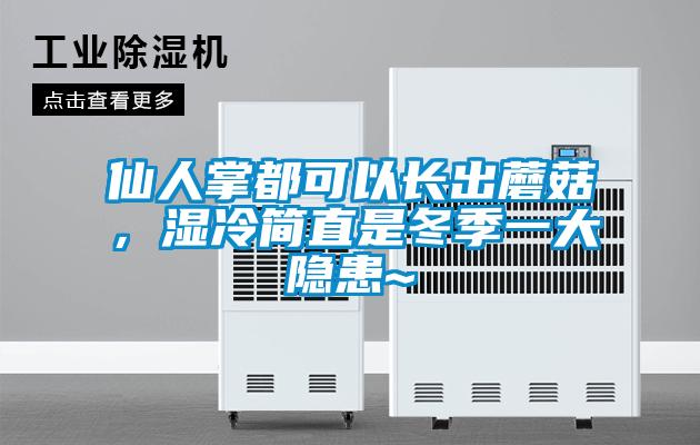 仙人掌都可以長出蘑菇,濕冷簡直是冬季一大隱患~