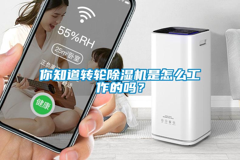 你知道轉輪除濕機是怎么工作的嗎？