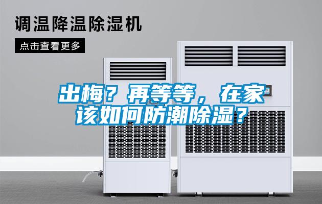 出梅?再等等,在家該如何防潮除濕?
