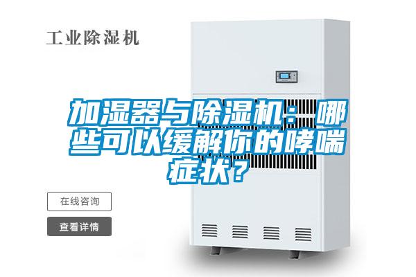加濕器與除濕機：哪些可以緩解你的哮喘癥狀？
