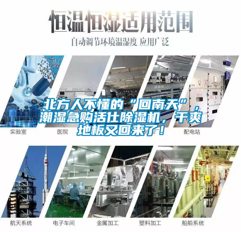 北方人不懂的“回南天”，潮濕急購活仕除濕機，干爽地板又回來了！