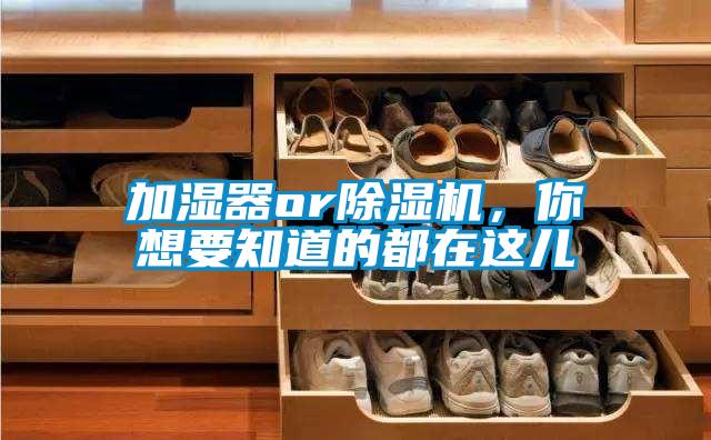 加濕器or除濕機，你想要知道的都在這兒