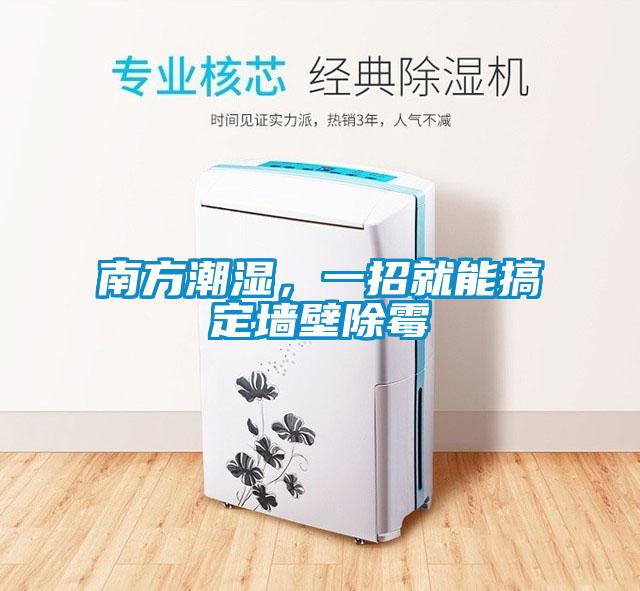 南方潮濕，一招就能搞定墻壁除霉
