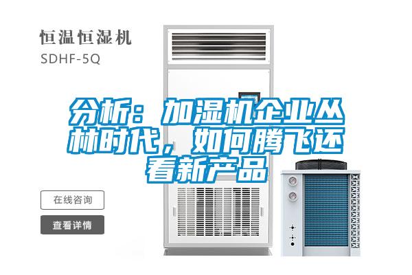 分析:加濕機(jī)企業(yè)叢林時(shí)代,如何騰飛還看新產(chǎn)品