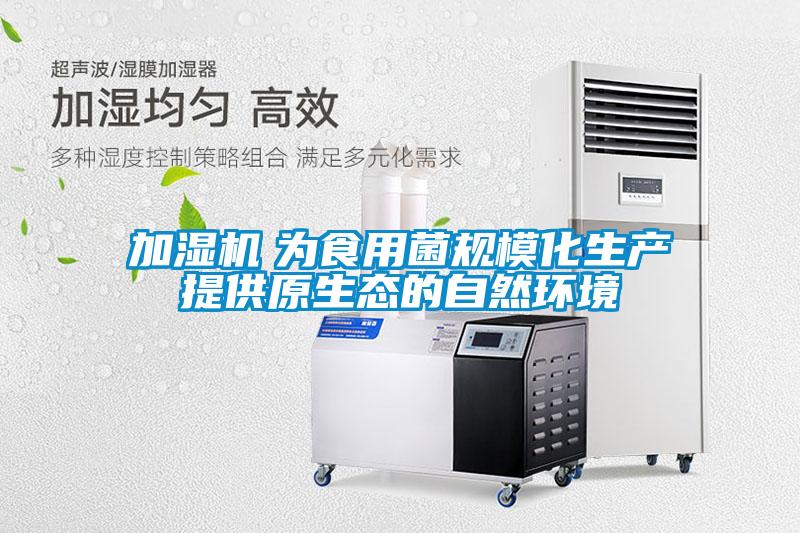 加濕機　為食用菌規?；a提供原生態的自然環境