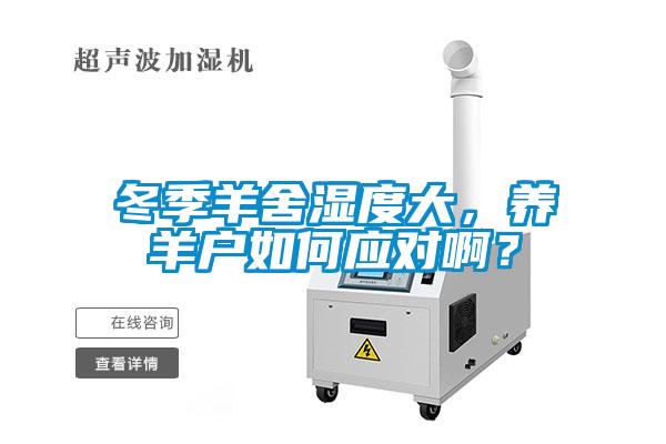 冬季羊舍濕度大,養羊戶如何應對啊?