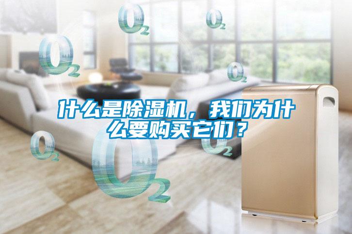什么是除濕機(jī)，我們?yōu)槭裁匆?gòu)買它們？