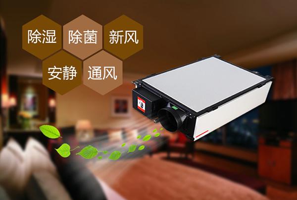 制作花紙的車間倉庫,用工業除濕機顯得尤為重要