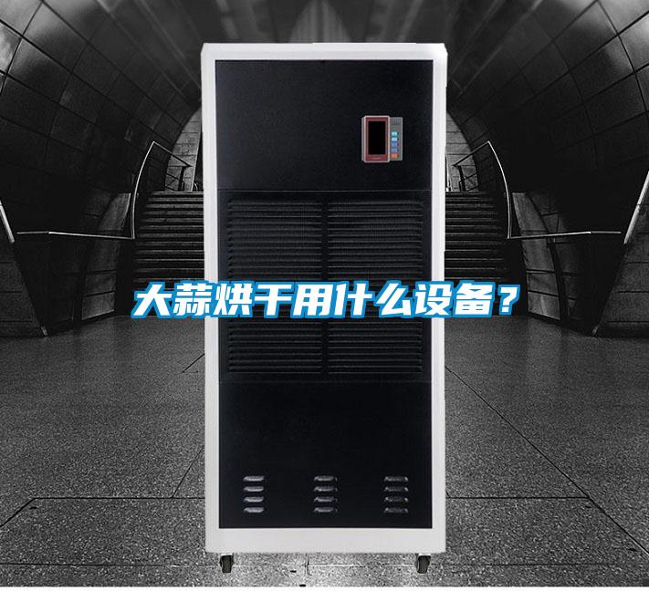 大蒜烘干用什么設備？
