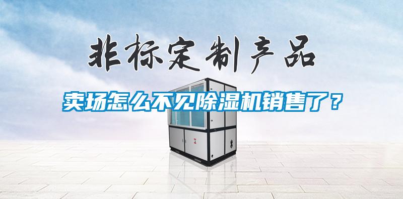 賣場怎么不見除濕機(jī)銷售了?