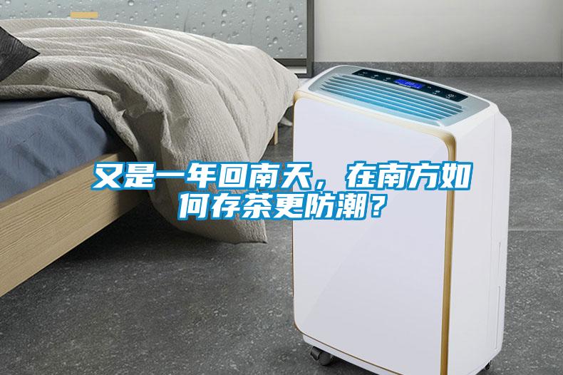 又是一年回南天，在南方如何存茶更防潮？