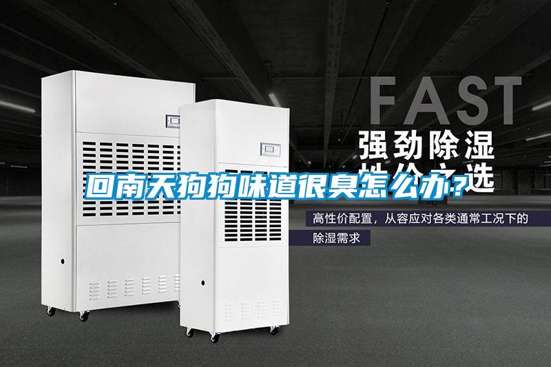回南天狗狗味道很臭怎么辦？