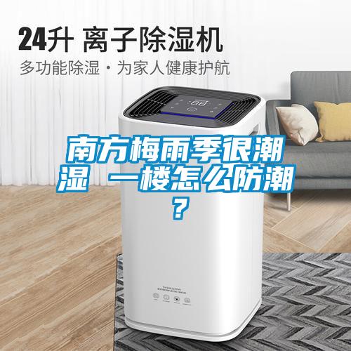 南方梅雨季很潮濕 一樓怎么防潮？