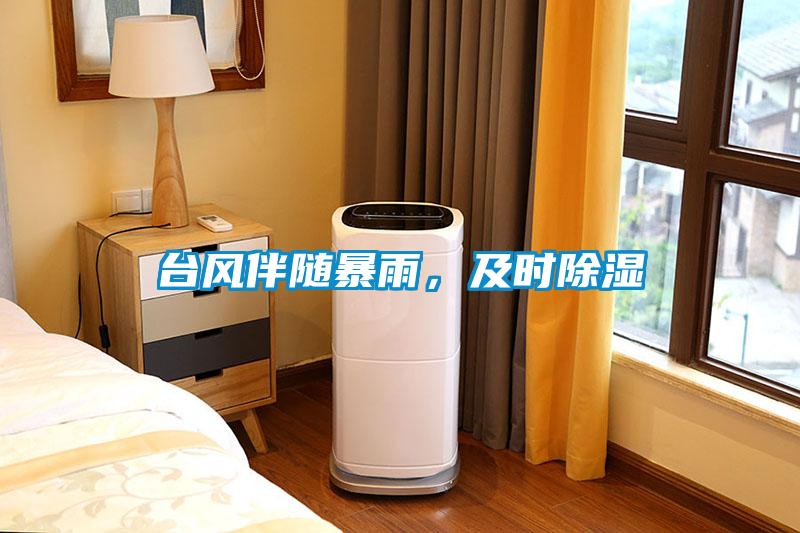 臺風(fēng)伴隨暴雨,及時除濕