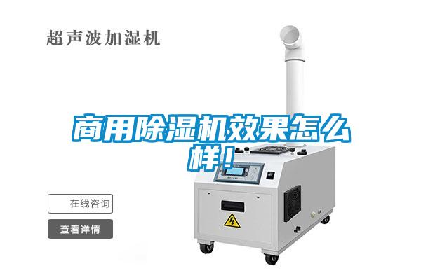 商用除濕機效果怎么樣！