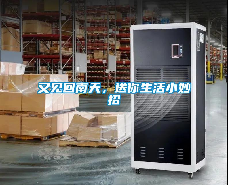又見回南天，送你生活小妙招