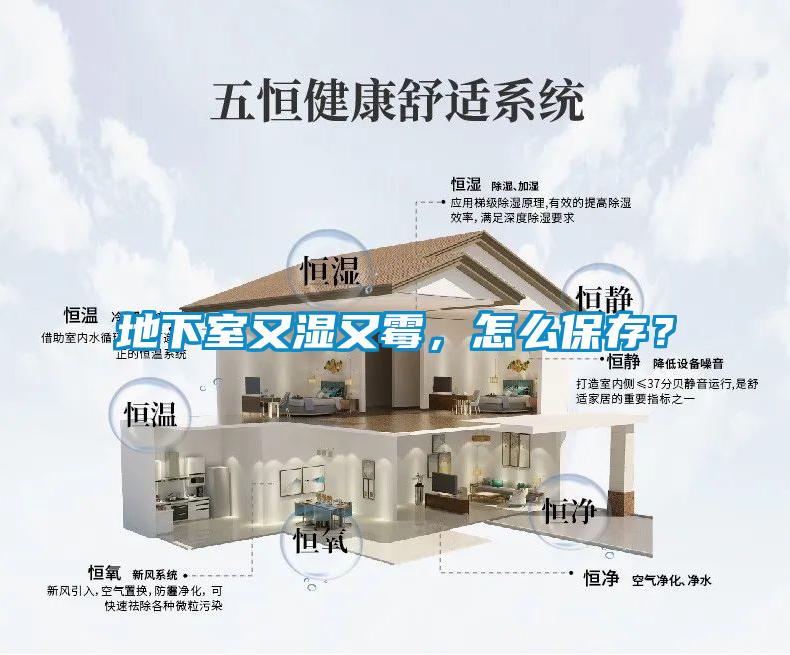 地下室又濕又霉,怎么保存?