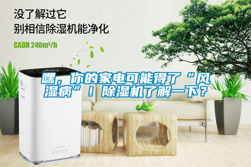 嘿，你的家電可能得了“風濕病”！除濕機了解一下？