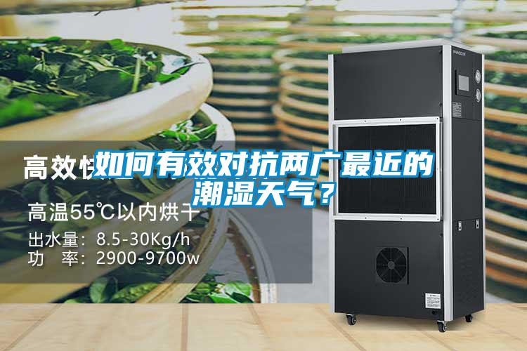 如何有效對抗兩廣最近的潮濕天氣？