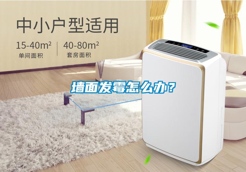墻面發霉怎么辦？