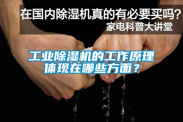 工業除濕機的工作原理體現在哪些方面?
