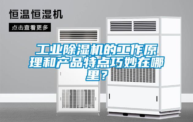 工業(yè)除濕機的工作原理和產(chǎn)品特點巧妙在哪里?