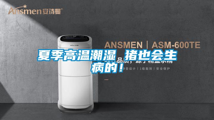 夏季高溫潮濕 豬也會生病的！