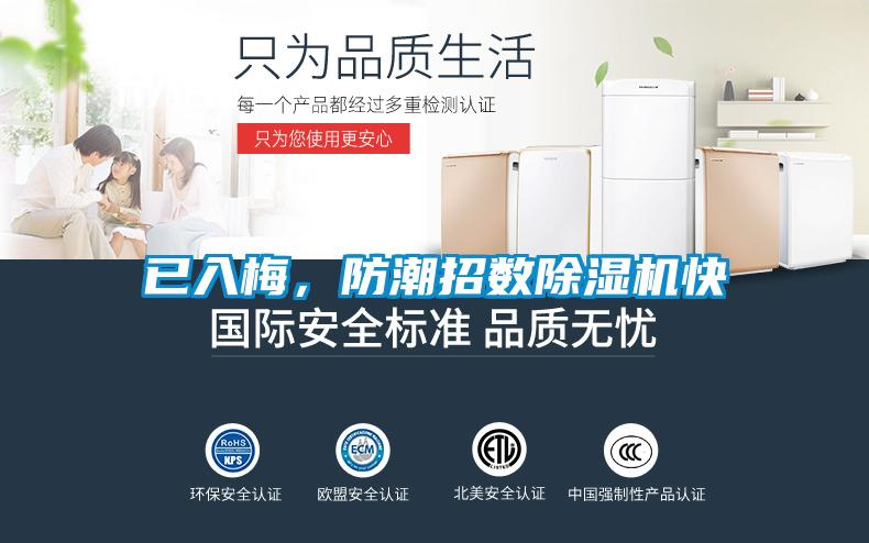 已入梅,防潮招數除濕機快