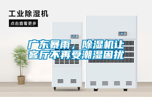 廣東暴雨,除濕機讓客廳不再受潮濕困擾