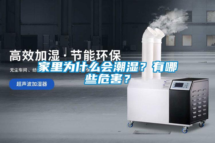 家里為什么會潮濕？有哪些危害？