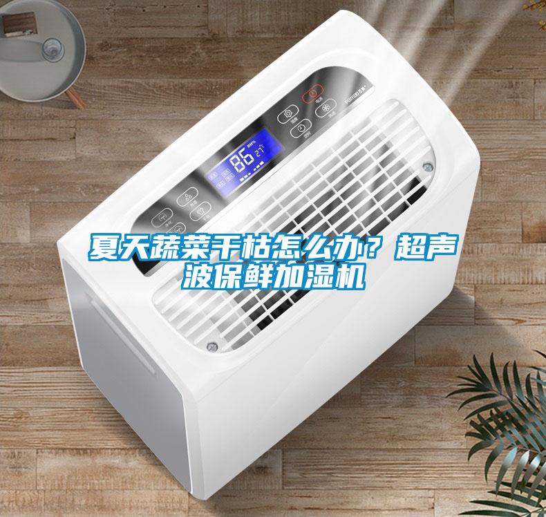 夏天蔬菜干枯怎么辦？超聲波保鮮加濕機(jī)