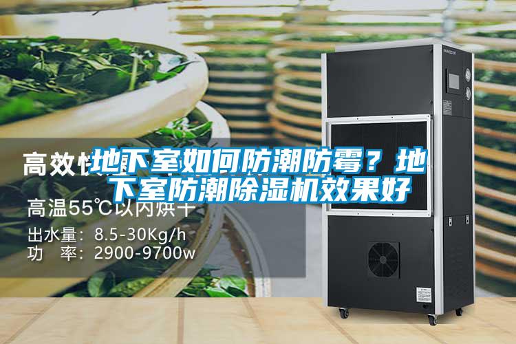 地下室如何防潮防霉？地下室防潮除濕機效果好
