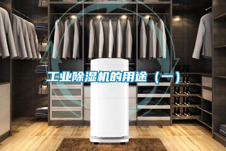 工業(yè)除濕機(jī)的用途(一)