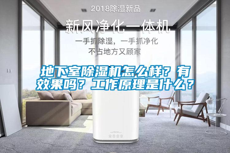 地下室除濕機怎么樣？有效果嗎？工作原理是什么？