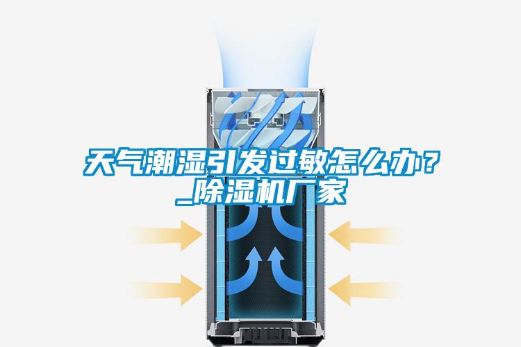 天氣潮濕引發過敏怎么辦?_除濕機廠家
