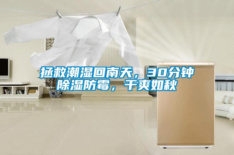 拯救潮濕回南天，30分鐘除濕防霉，干爽如秋