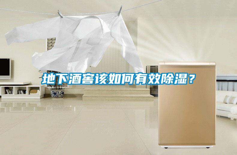 地下酒窖該如何有效除濕？