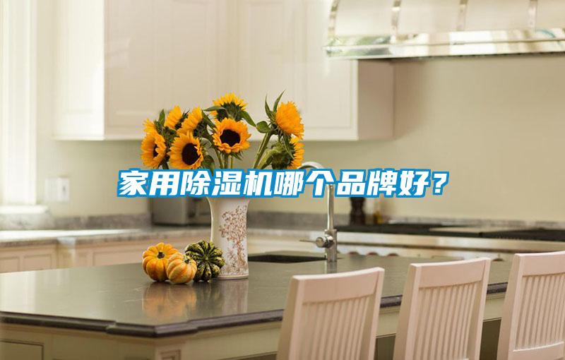 家用除濕機哪個品牌好?