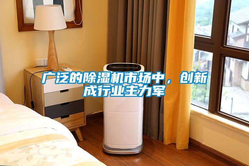 廣泛的除濕機市場中，創新成行業主力軍